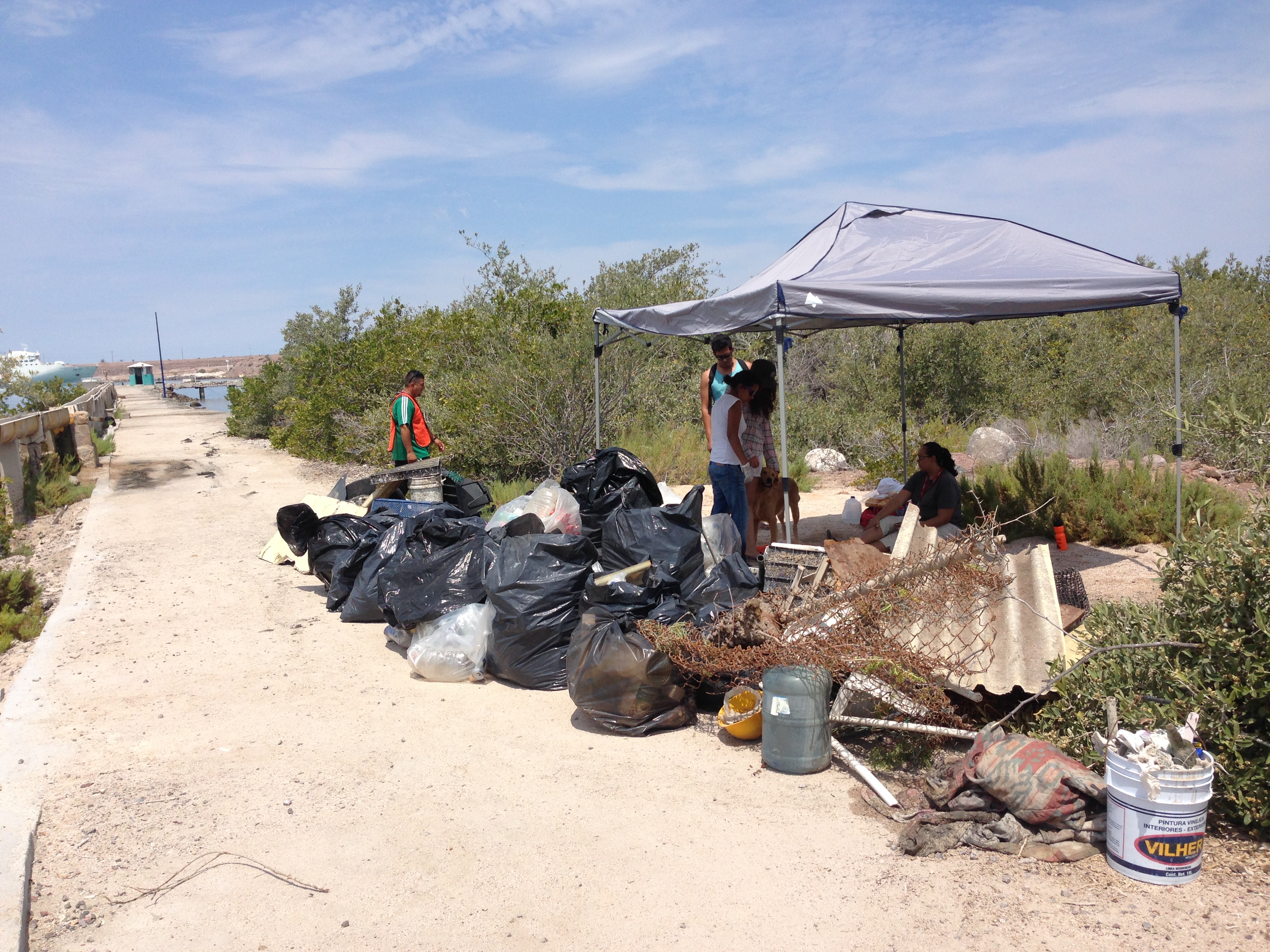 La Unidad Pichilingue de la UABCS participa en la campaña de limpieza “Rescatando nuestros arrecifes y manglares”