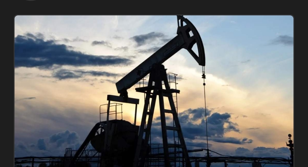 El petróleo de Texas sube un 0,98 % y cierra en 74,11 dólares el barril