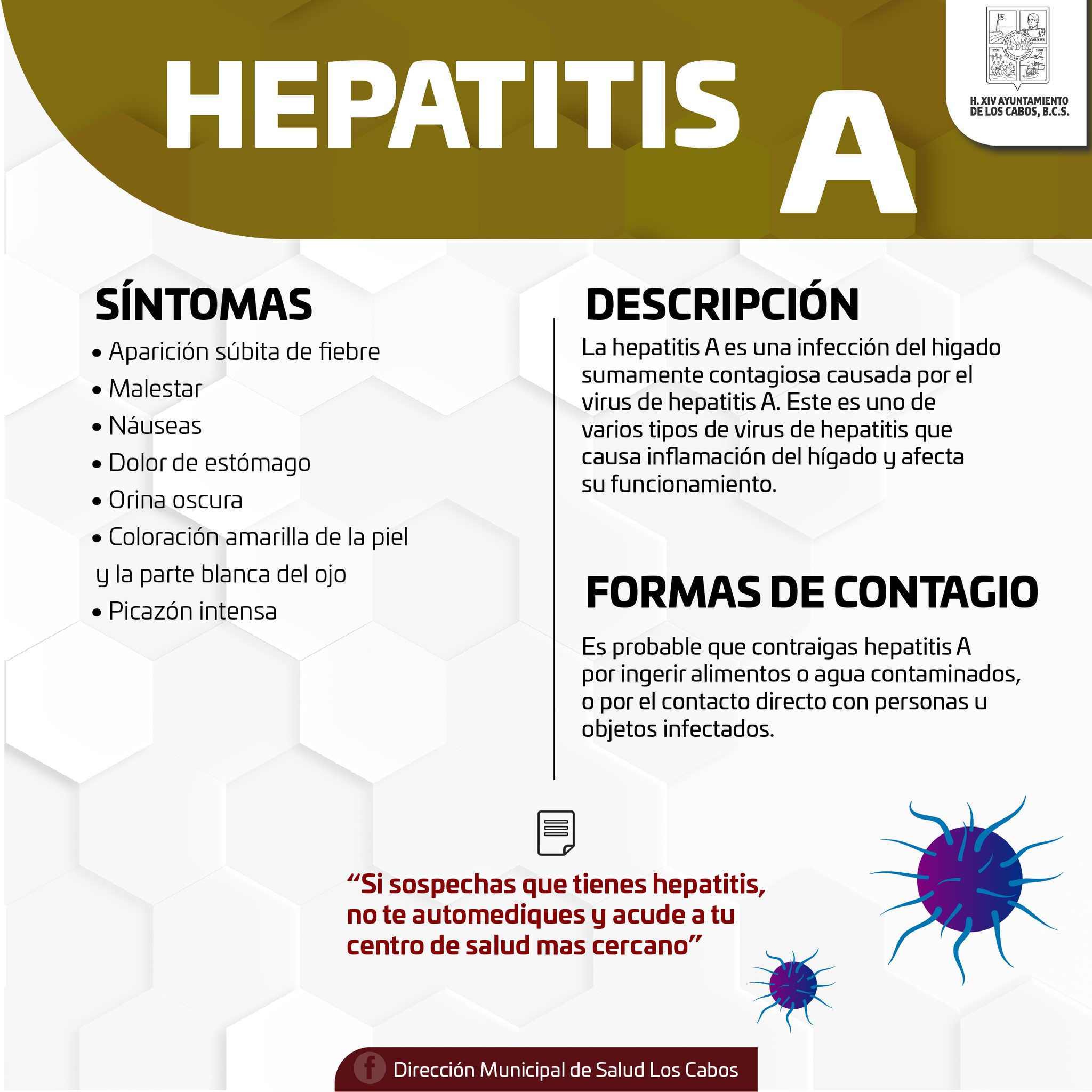 Dirección Municipal de salud de Los Cabos realiza un llamado para tomar medidas preventivas para evitar el virus de la hepatitis en la comunidad