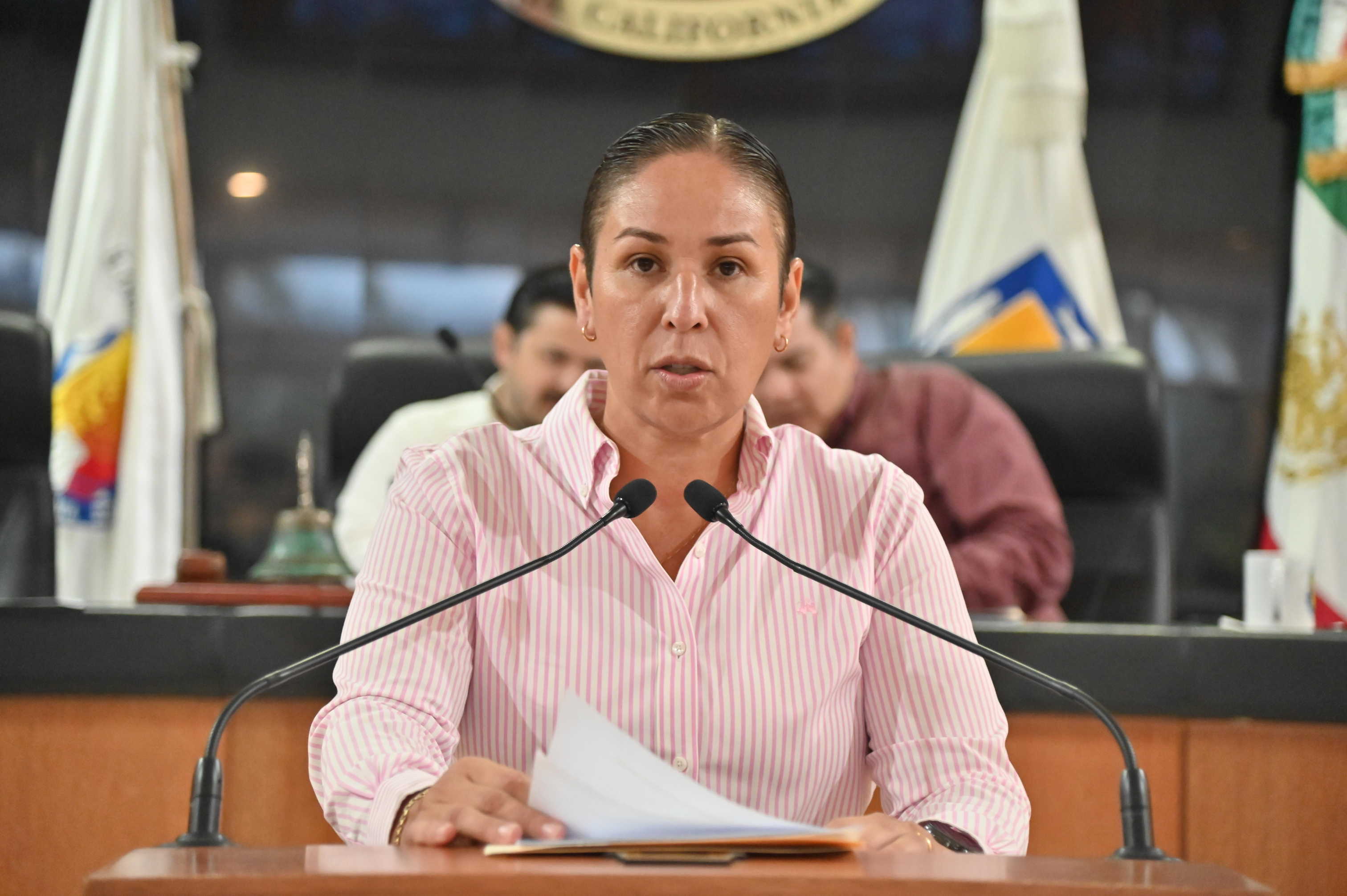 Propuso Alondra Torres sancionar el reclutamiento de menores con fines delictivos en BCS