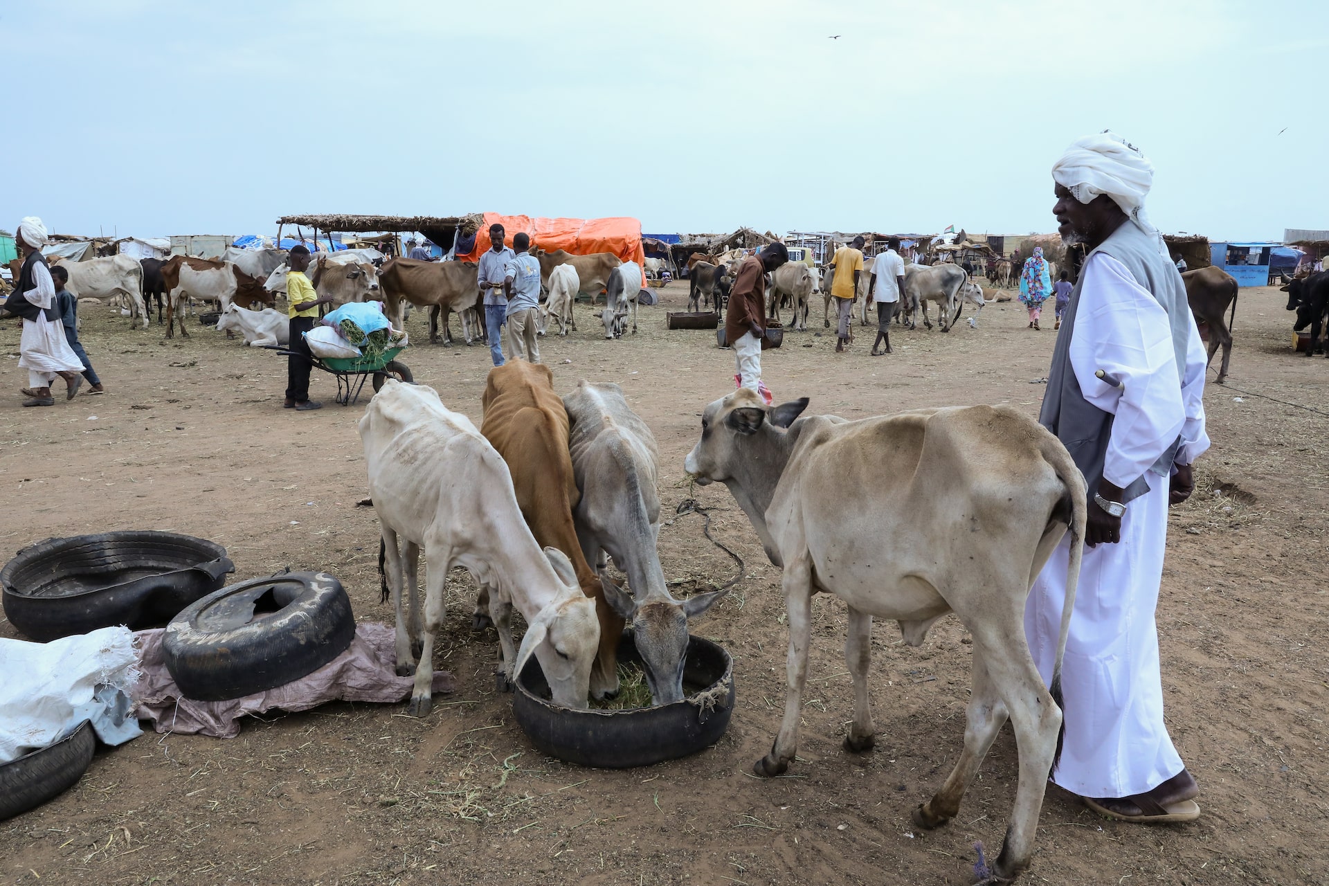 Mercado ganadero en Kordofán del Norte. Foto: Eltayeb Siddig/Reuters.
