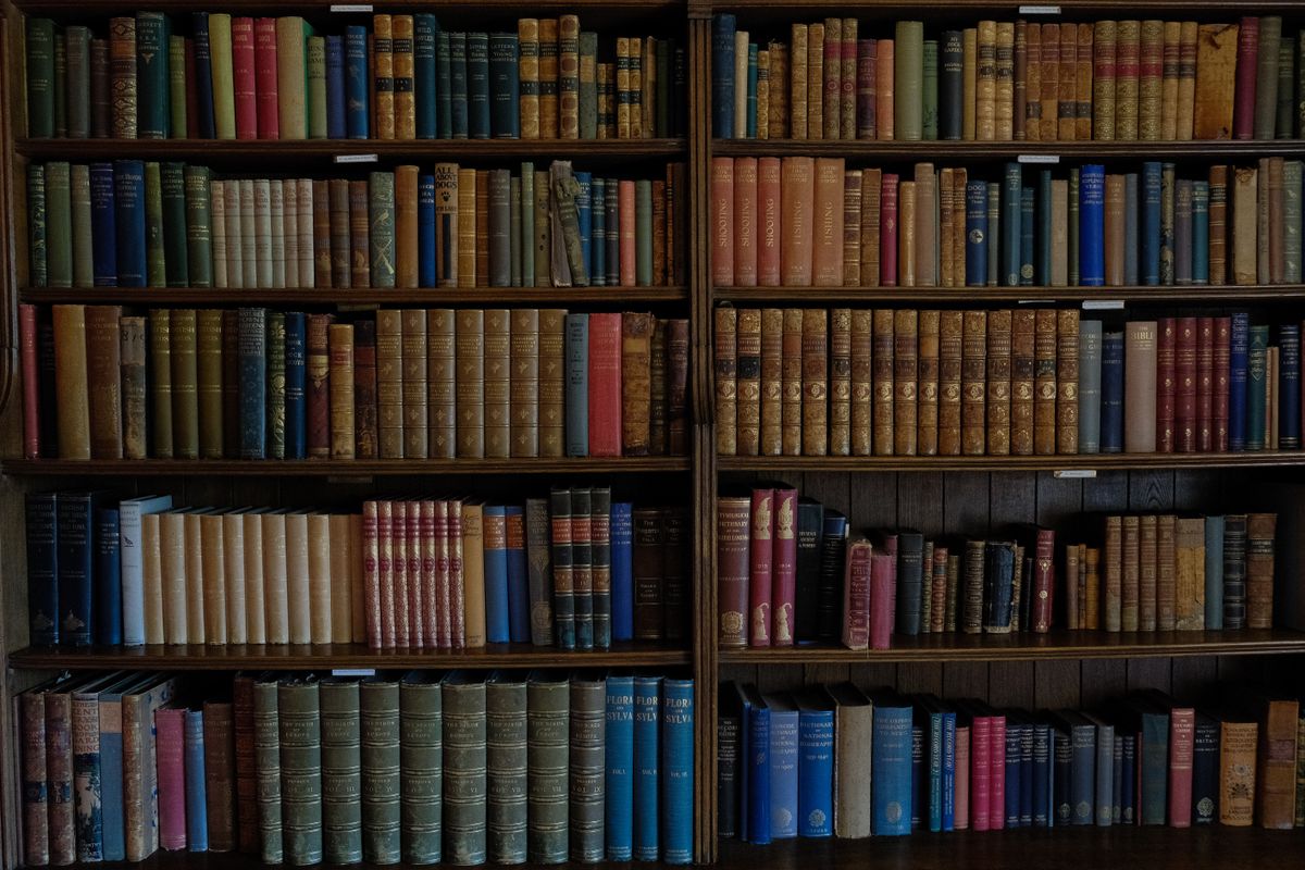 Libros en estantes, fotografía ilustrativa