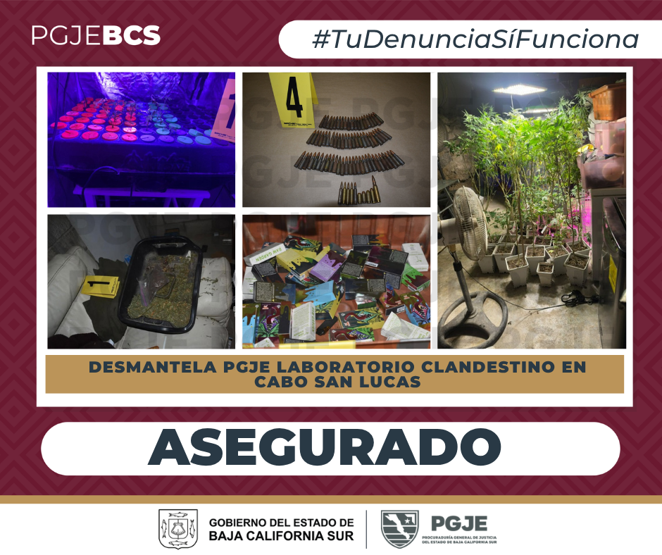 PGJE reporta cateo en Cabo San Lucas: asegura 59 plantas y detiene a dos personas