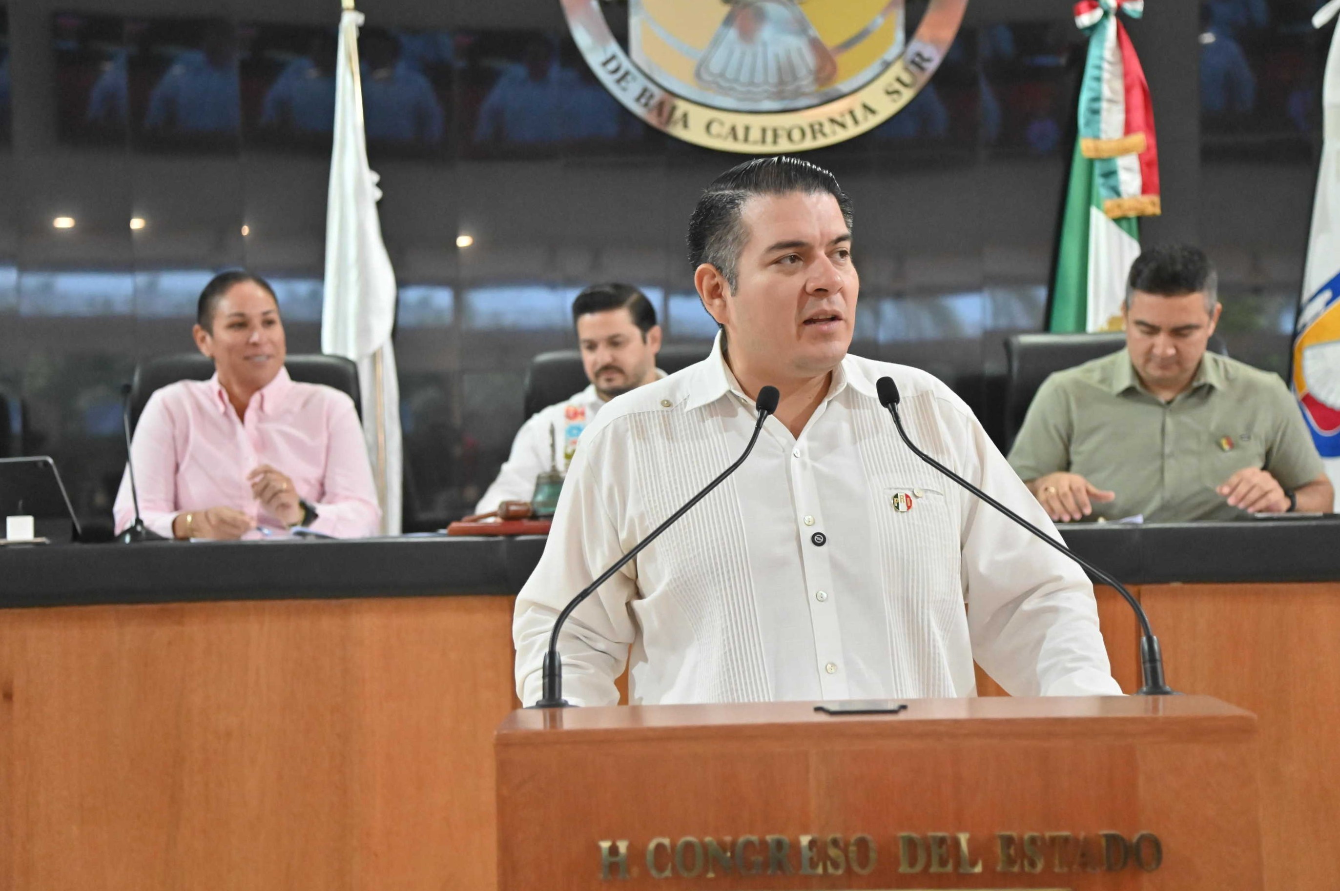 DIP FABRIZIO DEL CASTILLO MIRANDA 261015 2