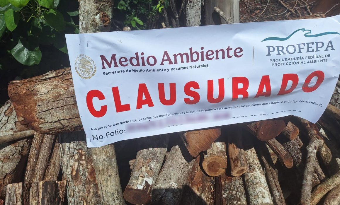 Inspección forestal en Campeche