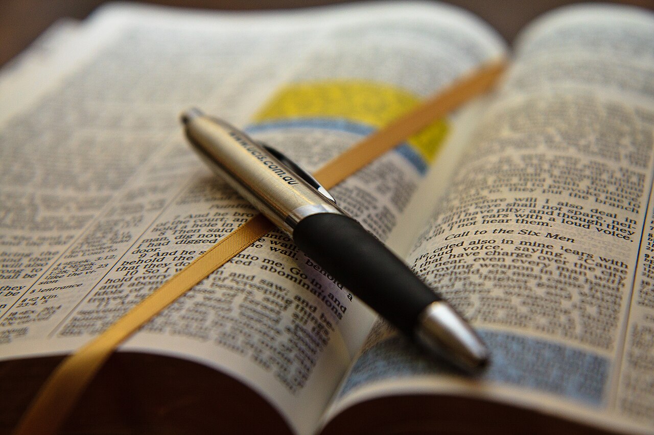Construir la paz es una vocación diaria: Mateo 5:9