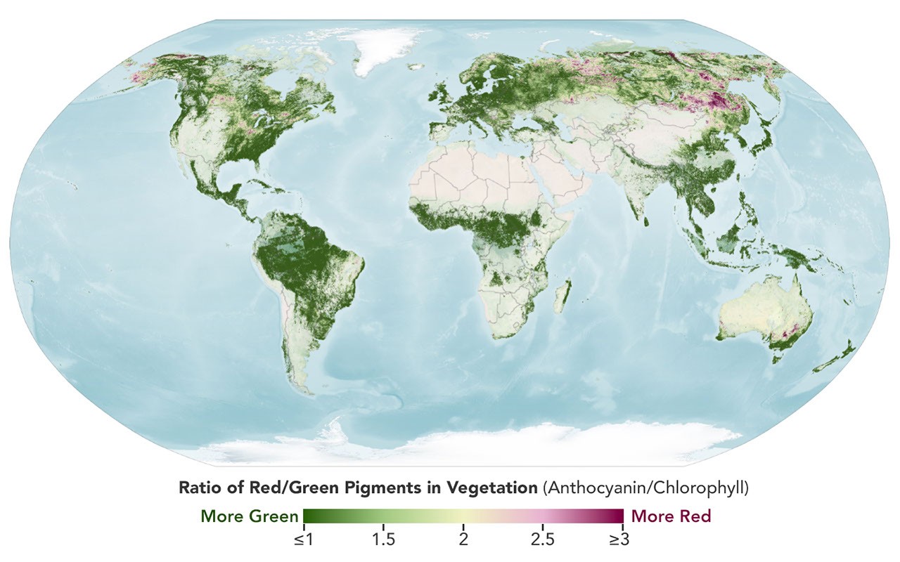 Satélite de la NASA muestra cómo cambian los colores de los bosques del planeta desde el espacio
