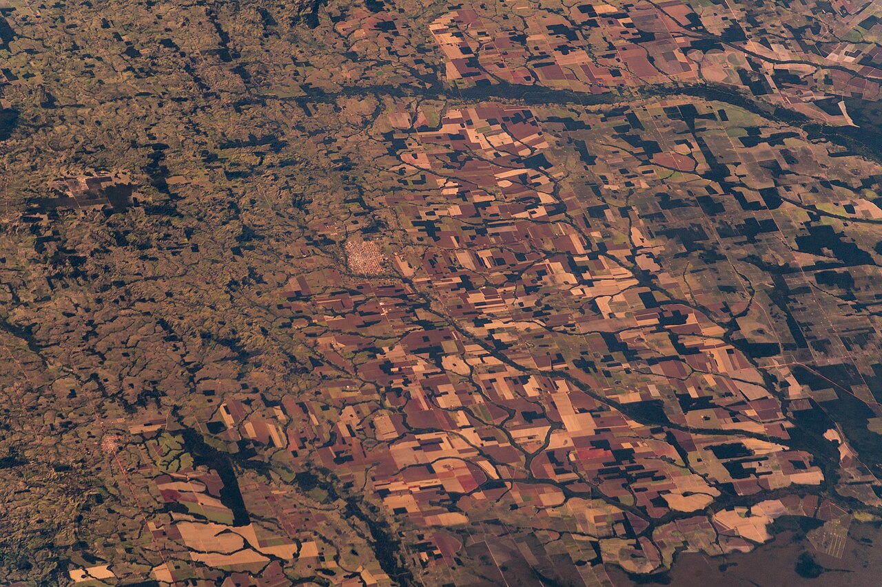 Fotografía de archivo: Amazon rainforest (Satellite picture).jpg. Imagen ilustrativa, no corresponde al hecho reseñado.